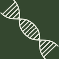 Collagen-Focused Peptides